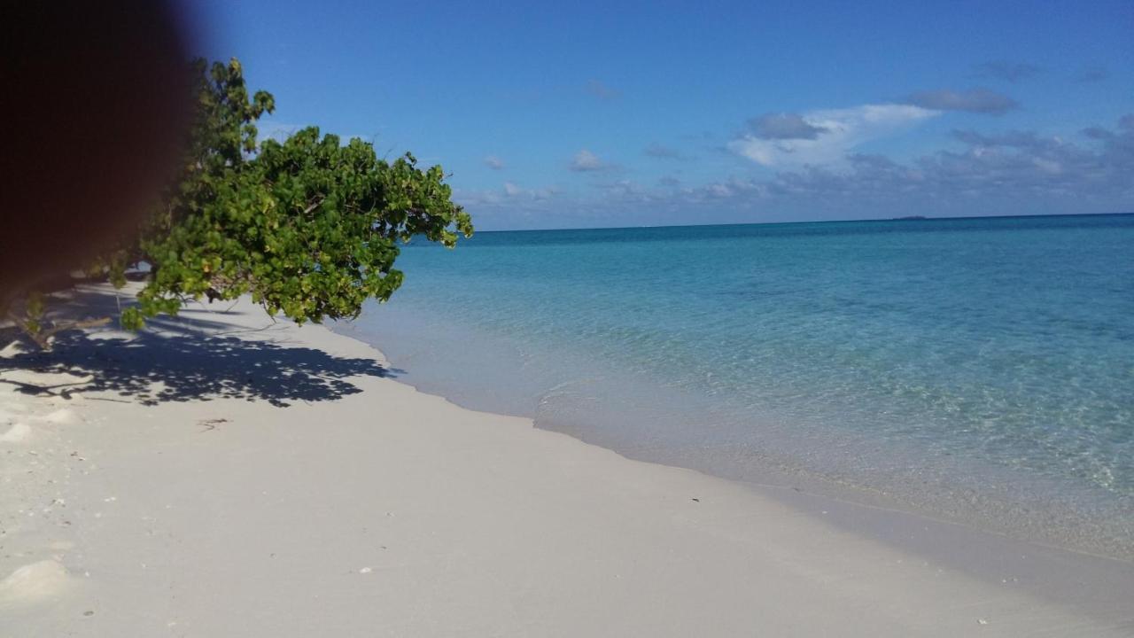 Malas Island View Fulidhoo Extérieur photo